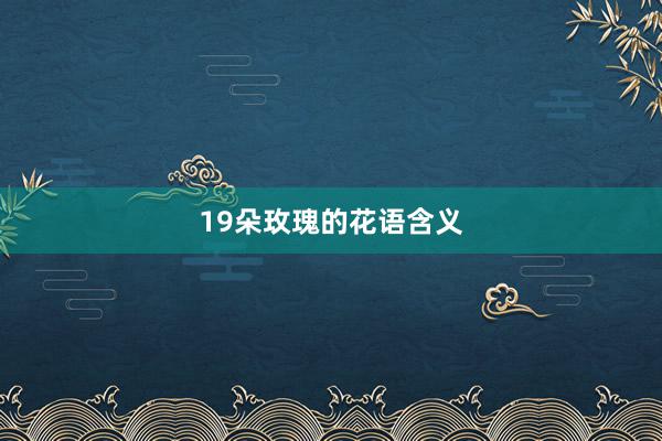19朵玫瑰的花语含义