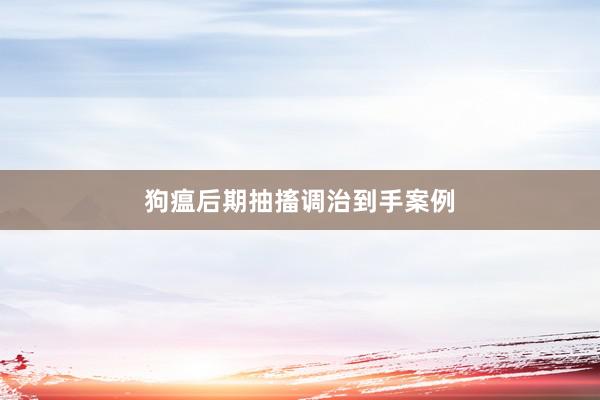 狗瘟后期抽搐调治到手案例